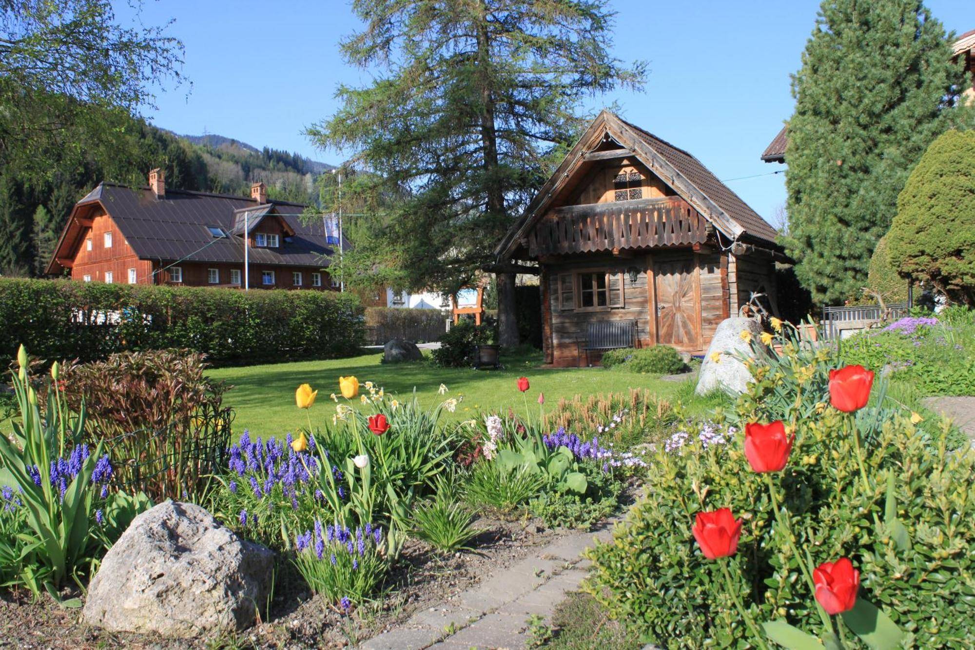 Haus Alexander Hotel Schladming Exterior photo
